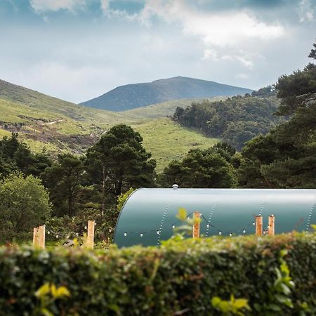 Further Space At Leitrim Lodge Luxury Glamping Pods Mourne Mountains Νιούκασλ Εξωτερικό φωτογραφία